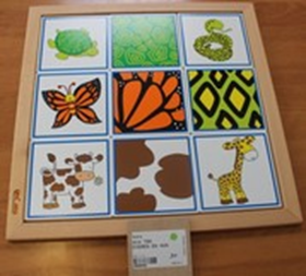 Dieren En Hun Vacht (Živalski Vzorci)